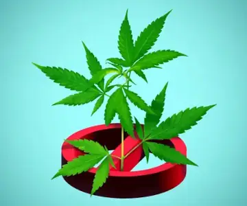 Cannabis Kinder- und Jugendschutz